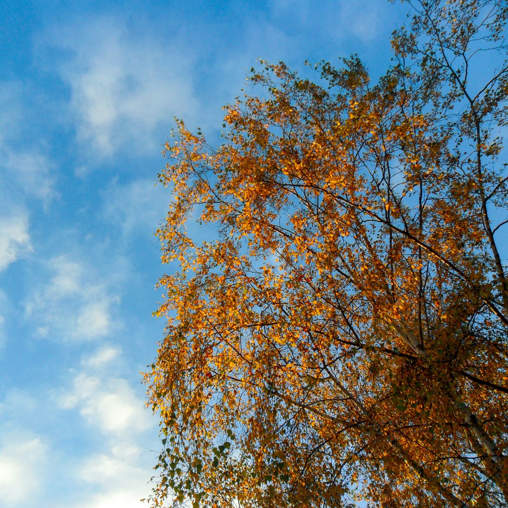 Reflections, Q3 2024